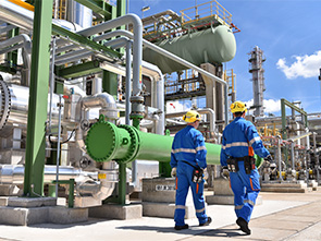 Chemical and petrochemical sealing application